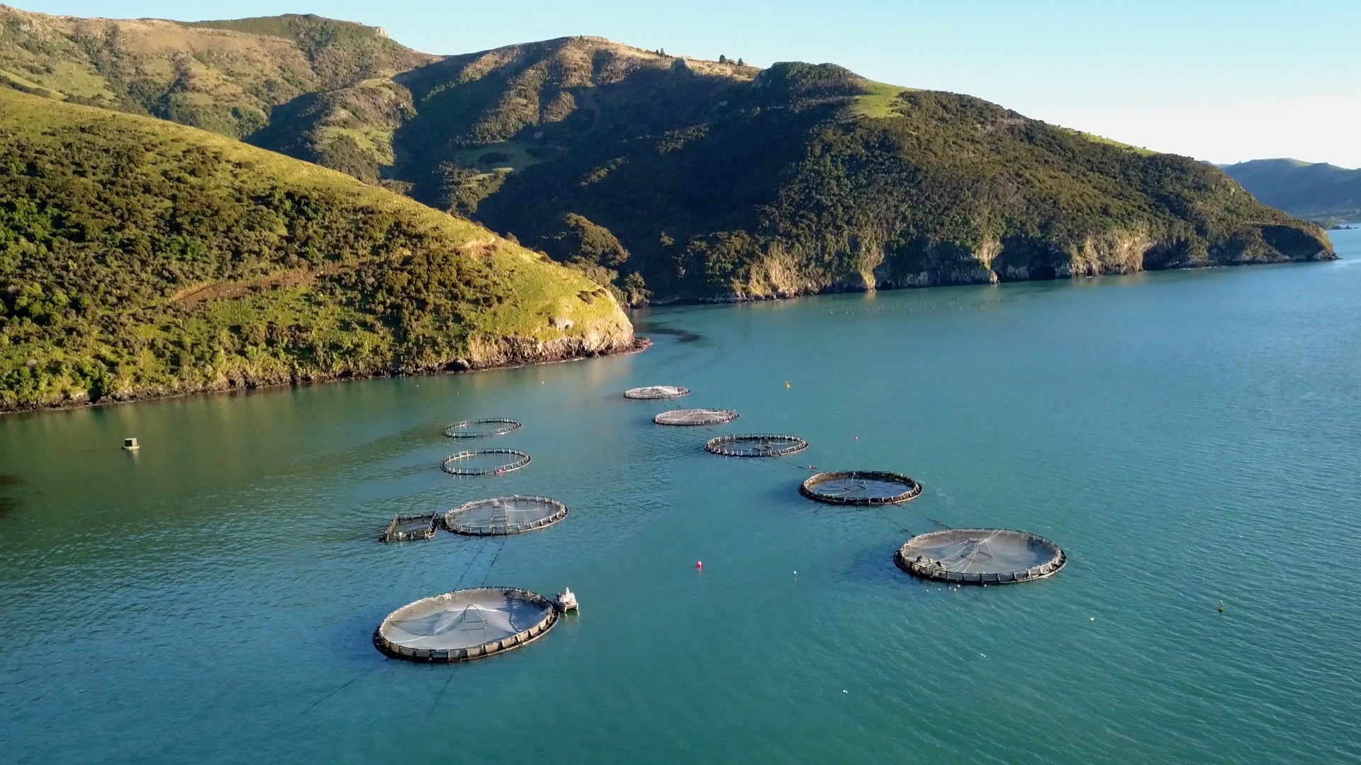 Venues Otautahi_Supporting_Local_Akaroa_Salmon_30_approval_v02 on Vimeo