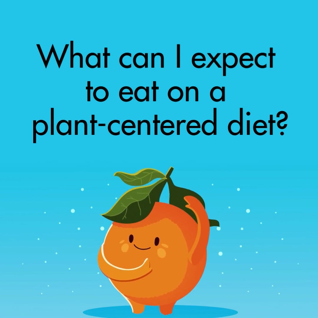 what-can-i-eat-on-plant-centered-diet-on-vimeo