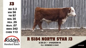 Lot #J3 - R 5184 NORTH STAR J3