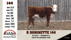 Lot #144 - R DOMINETTE 144