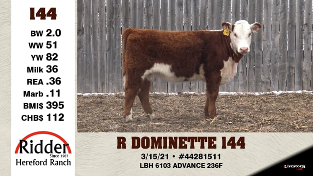 Lot #144 - R DOMINETTE 144