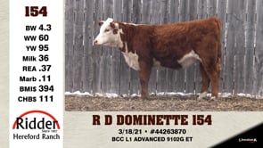 Lot #154 - R D DOMINETTE 154