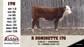 Lot #170 - R DOMINETTE 170