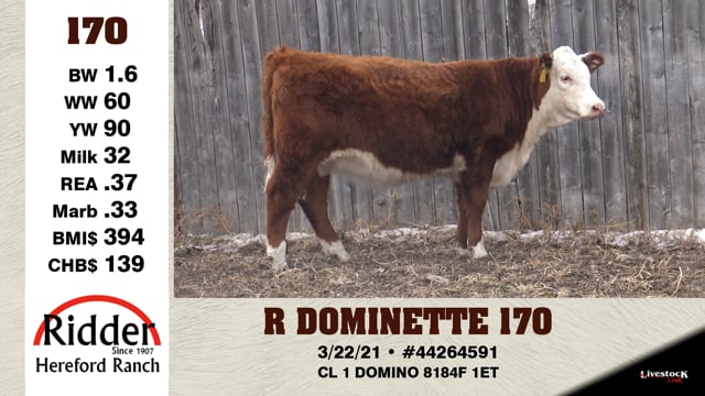 Lot #170 - R DOMINETTE 170