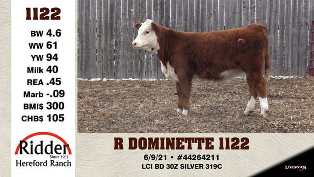Lot #1122 - R DOMINETTE 1122