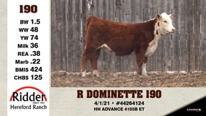 Lot #190 - R DOMINETTE 190