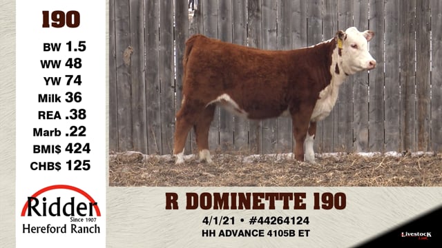 Lot #190 - R DOMINETTE 190