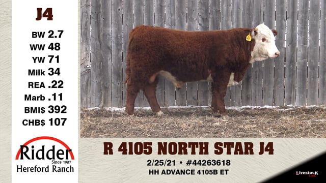 Lot #J4 - R 4105 NORTH STAR J4