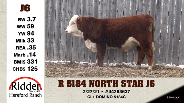 Lot #J6 - R 5184 NORTH STAR J6
