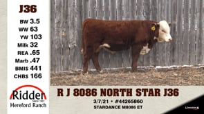 Lot #J36 - R J 8086 NORTH STAR J36