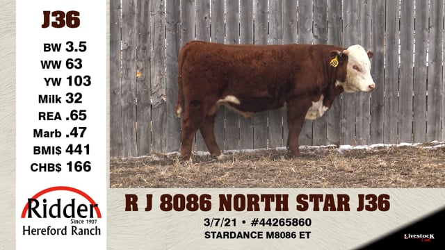 Lot #J36 - R J 8086 NORTH STAR J36