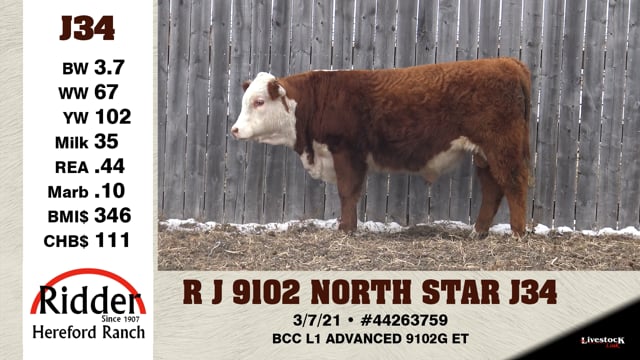 Lot #J34 - R J 9102 NORTH STAR J34