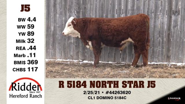 Lot #J5 - R 5184 NORTH STAR J5
