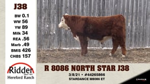 Lot #J38 - R 8086 NORTH STAR J38