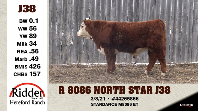 Lot #J38 - R 8086 NORTH STAR J38