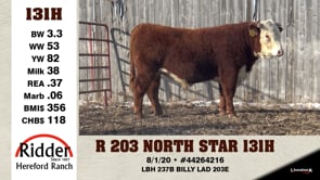 Lot #131H - R 203 NORTH STAR 131H