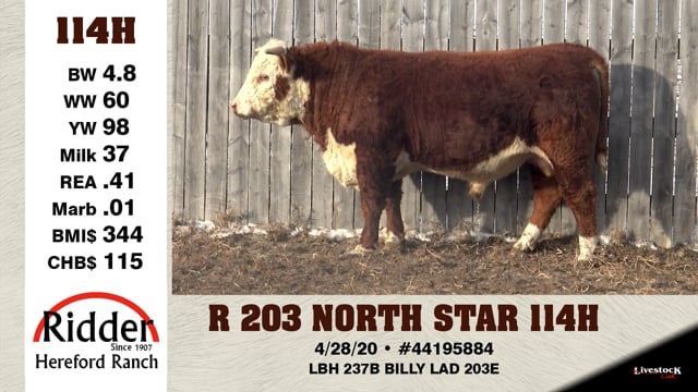 Lot #114H - R 203 NORTH STAR 114H