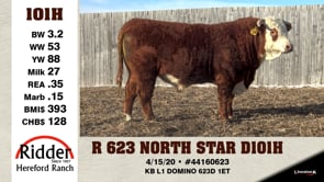 Lot #101H - R 623 NORTH STAR D101H
