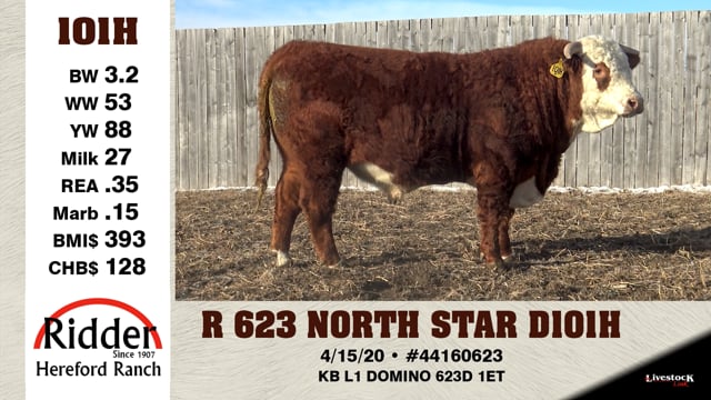Lot #101H - R 623 NORTH STAR D101H