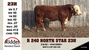 Lot #23H - R 240 NORTH STAR 23H