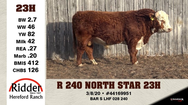 Lot #23H - R 240 NORTH STAR 23H
