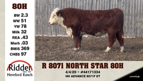 Lot #80H - R 8071 NORTH STAR 80H