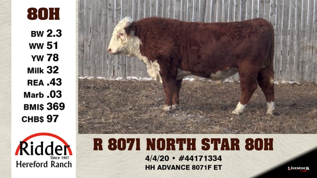 Lot #80H - R 8071 NORTH STAR 80H