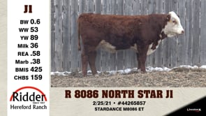 Lot #J1 - R 8086 NORTH STAR J1