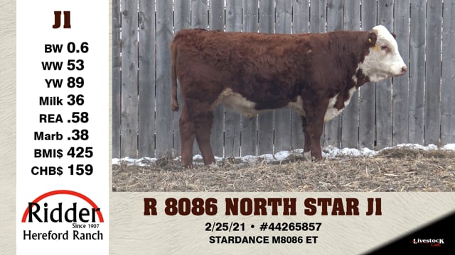 Lot #J1 - R 8086 NORTH STAR J1