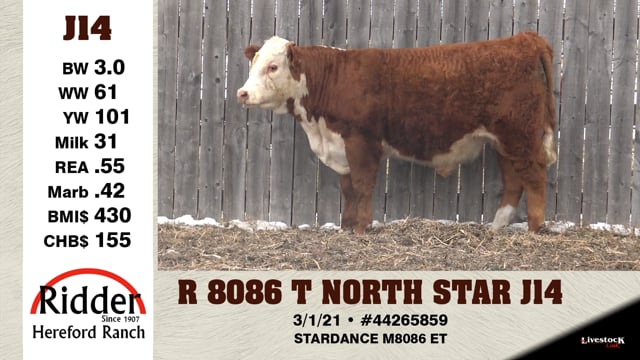 Lot #J14 - R 8086 T NORTH STAR J14