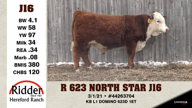 Lot #J16 - R 623 NORTH STAR J16