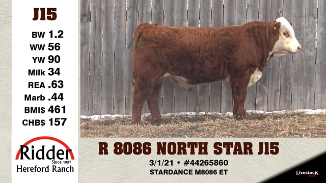 Lot #J15 - R 8086 NORTH STAR J15