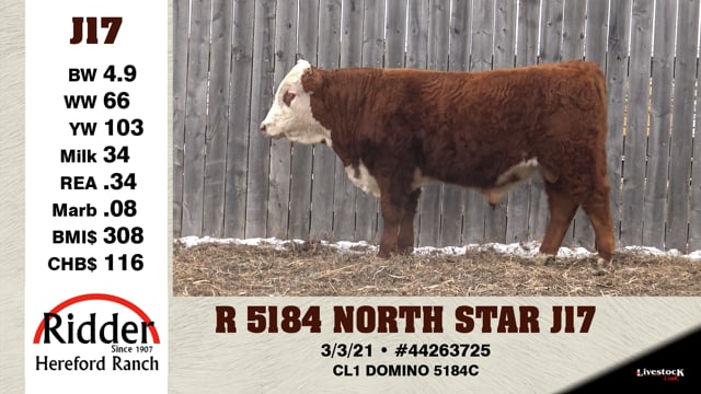 Lot #J17 - R 5184 NORTH STAR J17