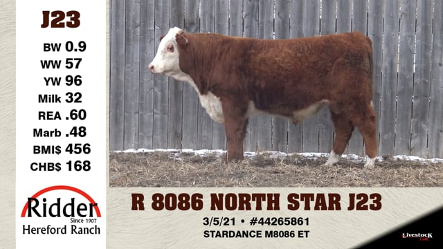 Lot #J23 - R 8086 NORTH STAR J23