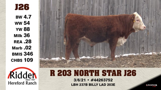 Lot #J26 - R 203 NORTH STAR J26