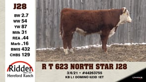 Lot #J28 - R T 623 NORTH STAR J28
