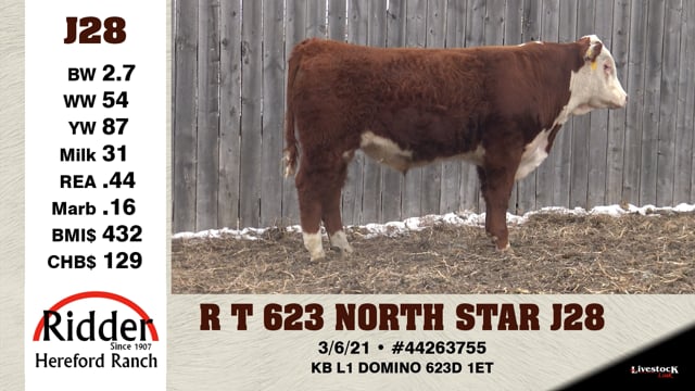 Lot #J28 - R T 623 NORTH STAR J28