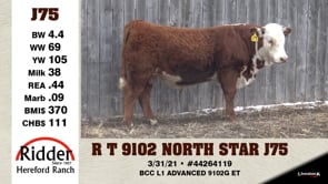 Lot #J75 - R T 9102 NORTH STAR J75