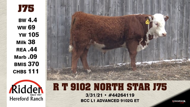 Lot #J75 - R T 9102 NORTH STAR J75