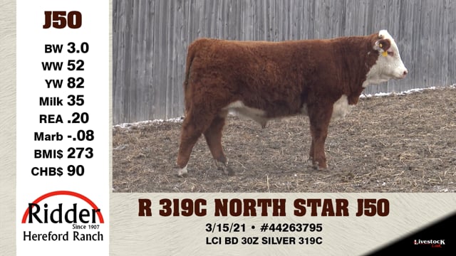 Lot #J50 - R 319C NORTH STAR J50