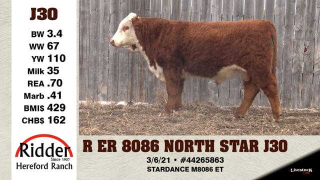 Lot #J30 - R ER 8086 NORTH STAR J30