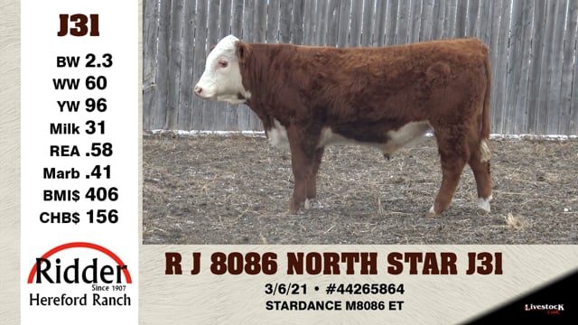 Lot #J31 - R J 8086 NORTH STAR J31