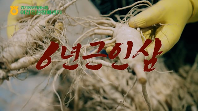 이천인삼판매센터