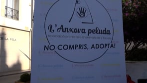 L'Anxova peluda tanca el 2021 amb 167 gossos adoptats