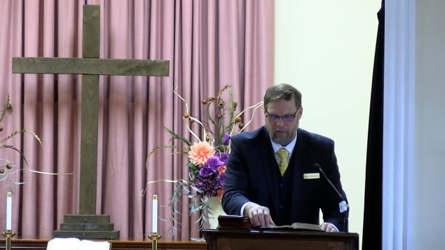 Life on the Vine: The Fruitful Believer