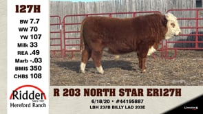 Lot #127H - R 203 NORTH STAR 34 127H