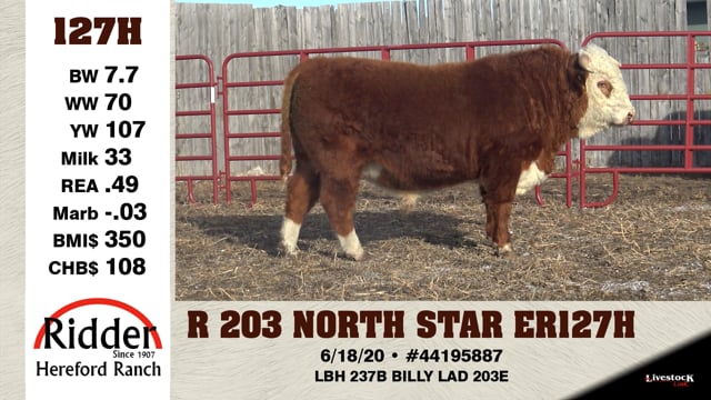 Lot #127H - R 203 NORTH STAR 34 127H