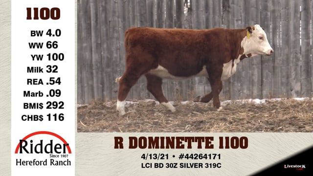 Lot #1100 - R DOMINETTE 1100