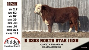 Lot #112H - R 3203 NORTH STAR J112H
