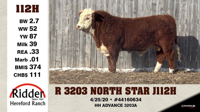 Lot #112H - R 3203 NORTH STAR J112H